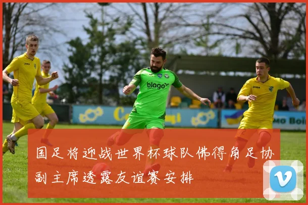 国足将迎战世界杯球队佛得角足协副主席透露友谊赛安排